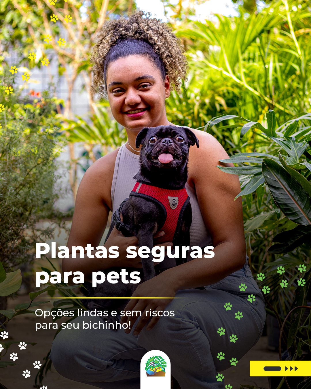 Carrossel Plantas Seguras - Tela 1